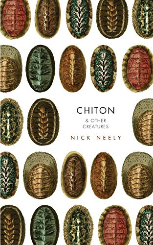 Chiton & Other Creatures, by Nicholas Neely