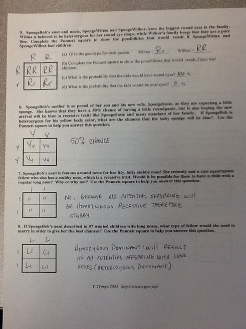 27 Bikini Bottom Genetics Worksheet Answer Key ...