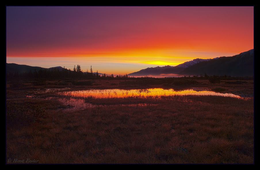 nature photography, view community,
