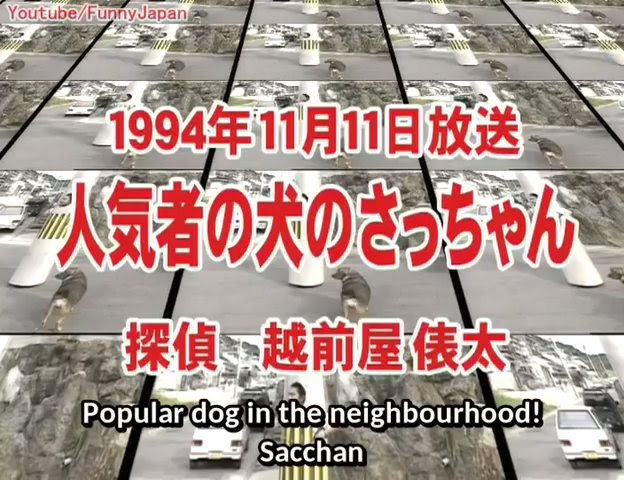 外国人 何て心温まる動画なんだ 町全体で愛される日本の人気犬さっちゃんが海外で大ウケ 海外のいろんなまとめ