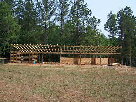 Horse Run in Shed Plans