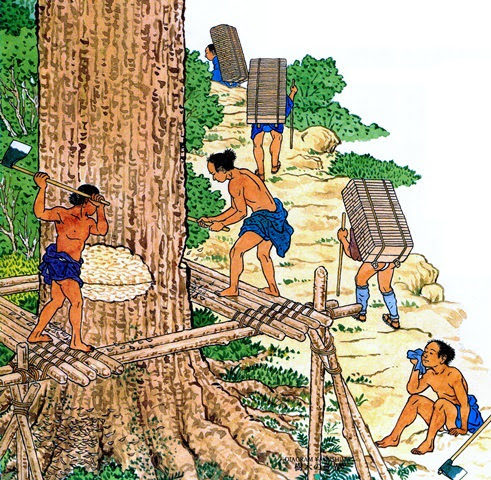 朝日新聞デジタル 離島編３ 屋久島 藩の財政支えた屋久杉 鹿児島 地域