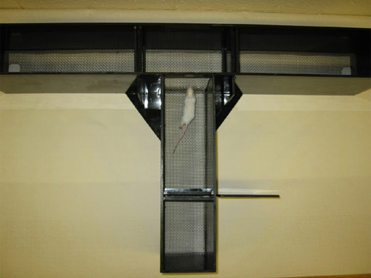 has a side preference by