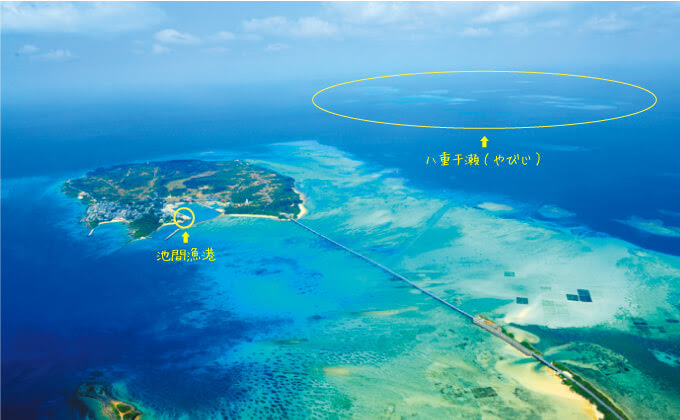 Point 01宮古島 八重干瀬 やびじ ツアーは最短ルートで行ける 池間島 出港がおすすめ 宮古島でシュノーケル ダイビングするなら八重干瀬ツアー 専門アクアベース