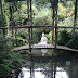 Zen Garden Zen Pool - Check spelling or type a new query.