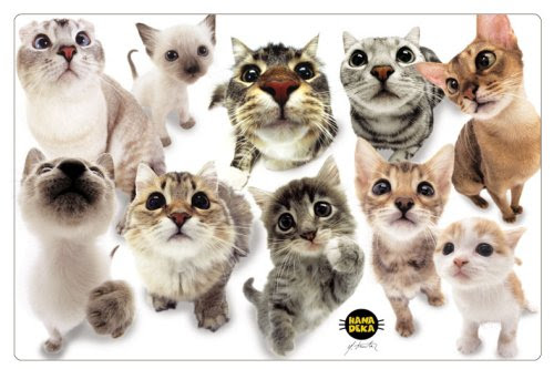 NAP'S Cat Placemat, In Your Face