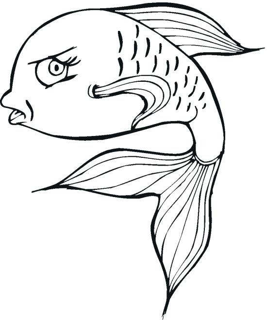 X Ray Fish Coloring Page at GetColorings.com | Free printable colorings
