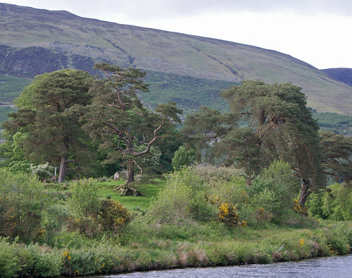 DSC02650_2