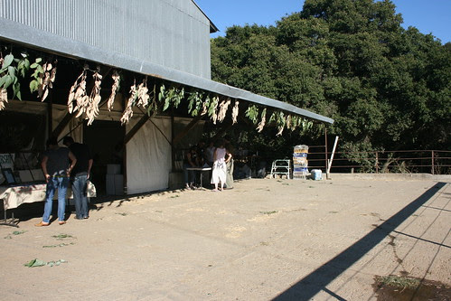 The Barn