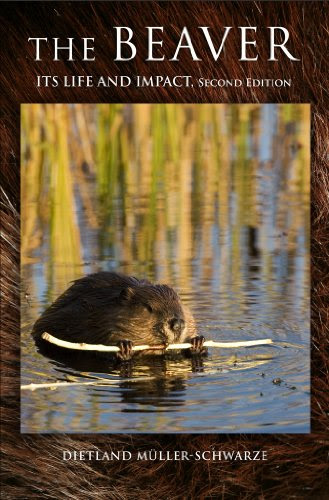 The Beaver: Its Life and Impact
