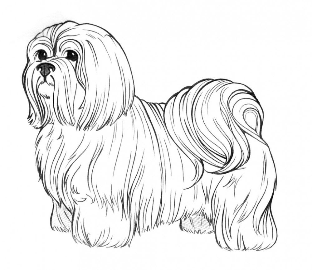 Realistic Puppy Coloring Pages - Coloring Home