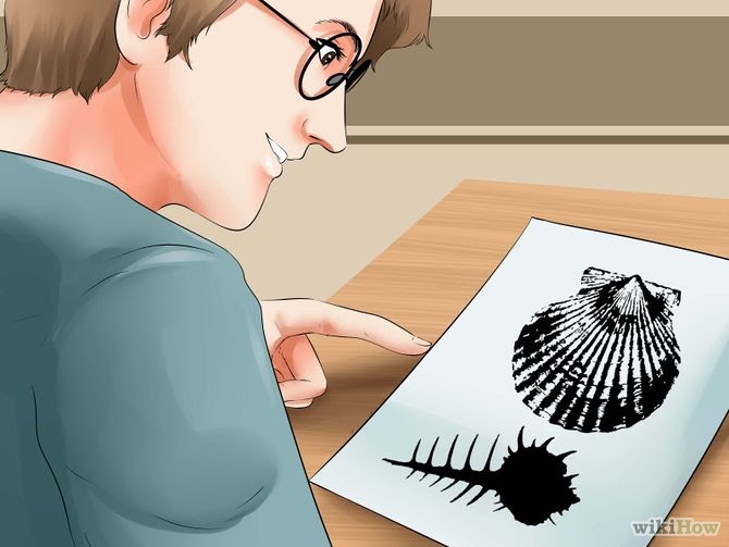 Identify Prints Step 2 Version 2.jpg