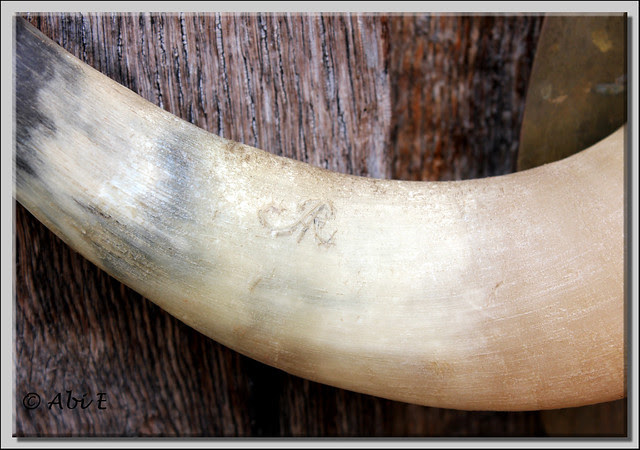 3 Detalle del detalle de la puerta