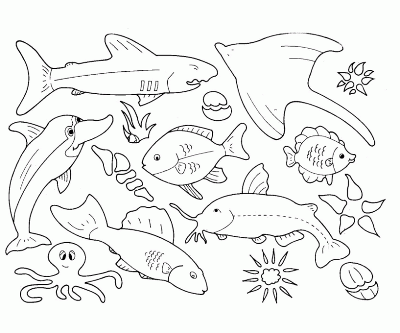 Download Ocean life coloring pages to download and print for free