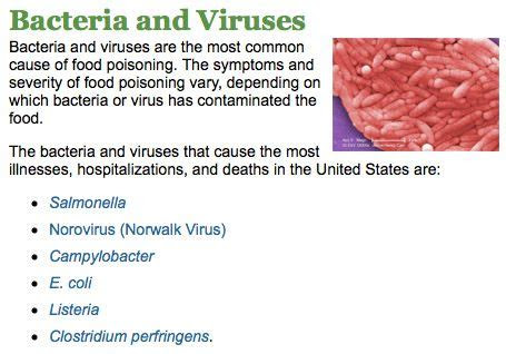 bacteria  viruses   food poisoning food