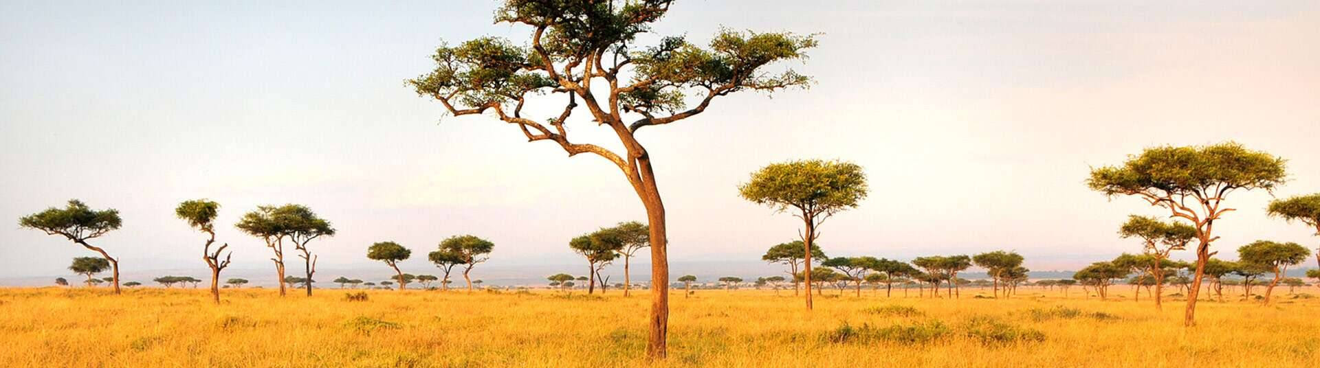 Vol Afrique du Sud pas cher | Monde du Voyage