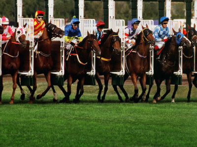 horse racing start