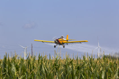 Agent Orange Humans Body Used Water Life Plants Type Chemical