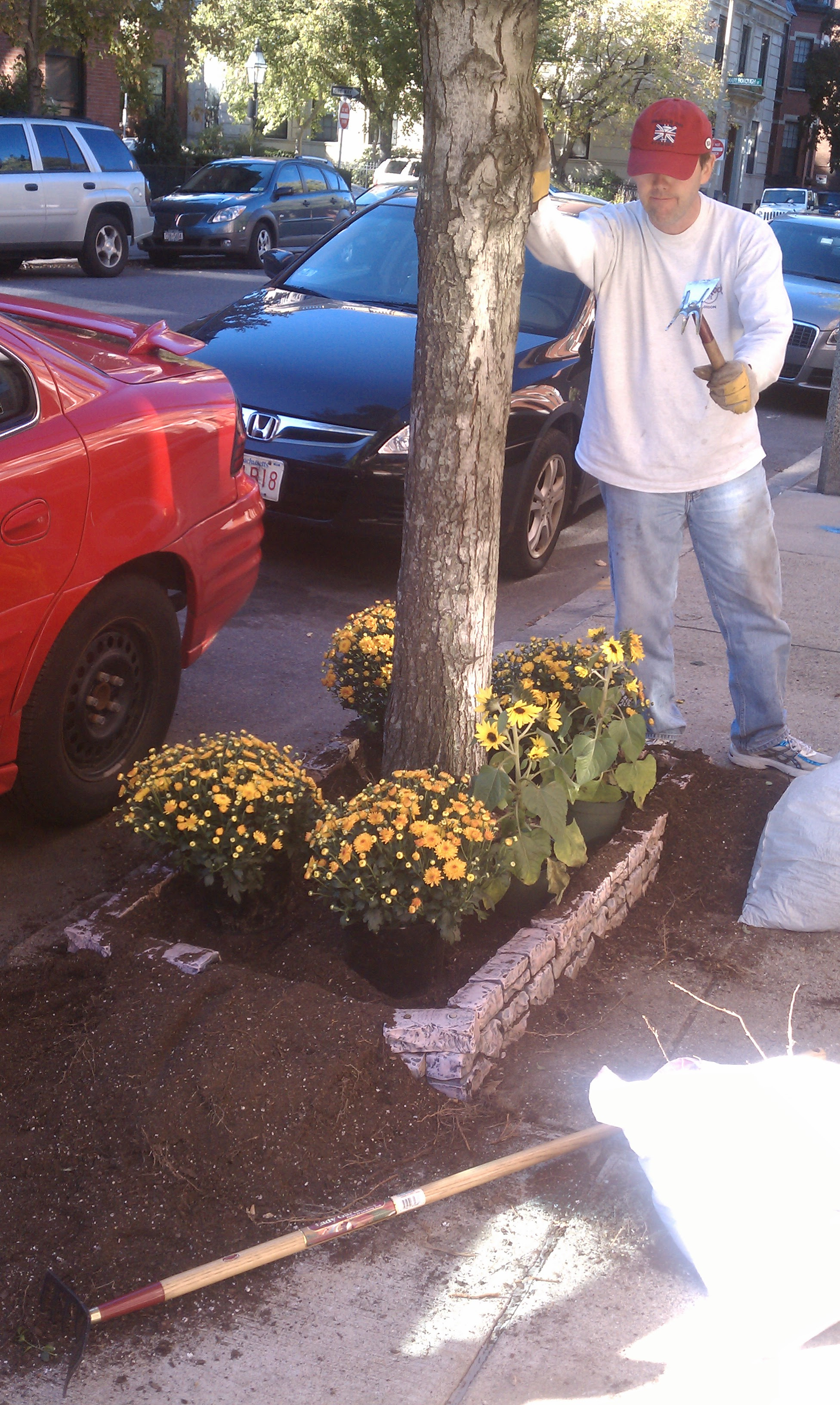 City Garden Ideas Information and inspiration to help beautify ...
