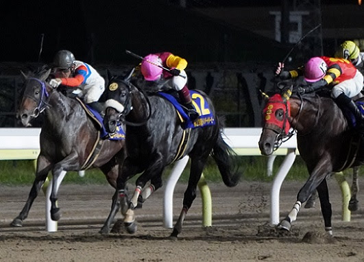南関魂 高橋華代子の南関東競馬ブログ