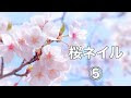 【ベストコレクション】 ネイル 桜 書き方 310072-ネイル 桜 書き方
