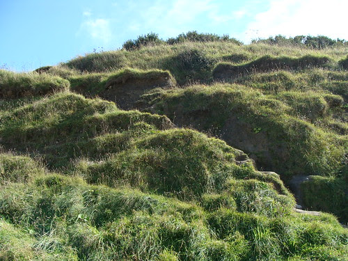 Bray 018