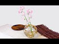[最も共有された！ √] 丸い 花瓶 生け方 523114-丸い花瓶 生け方