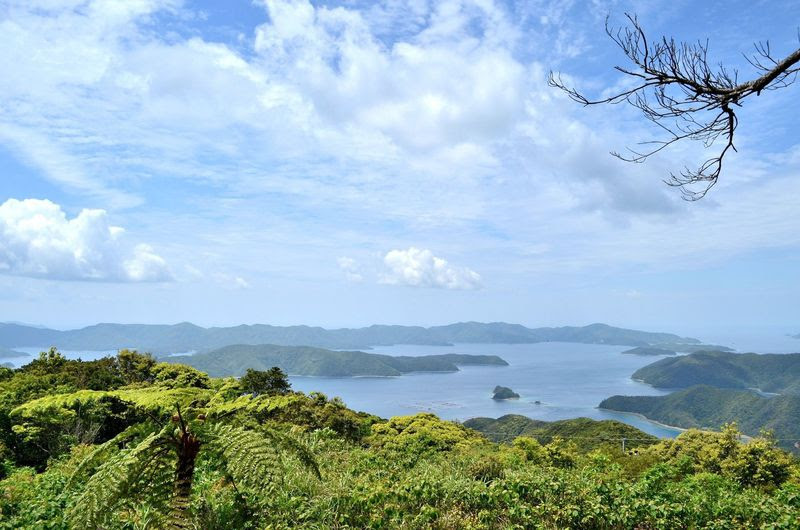 絶景 奄美大島で絶対行きたいおすすめスポット10選 Lineトラベルjp 旅行ガイド