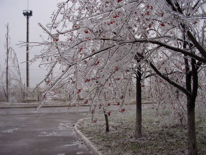 Beautiful Winter Photos (49 pics)