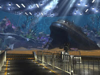 Undersea scene from The Shoot Undersea scene from The Shoot