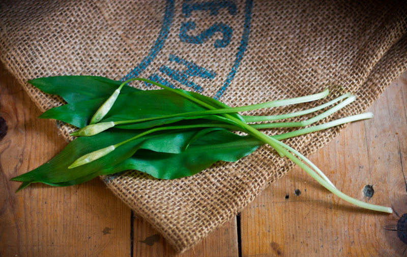 L Ail Des Ours Qu Est Ce Que C Est Comment Le Conserver