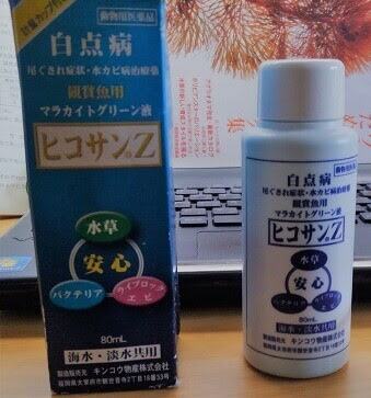 水カビ病の治療方法 熱帯魚の病気の治し方