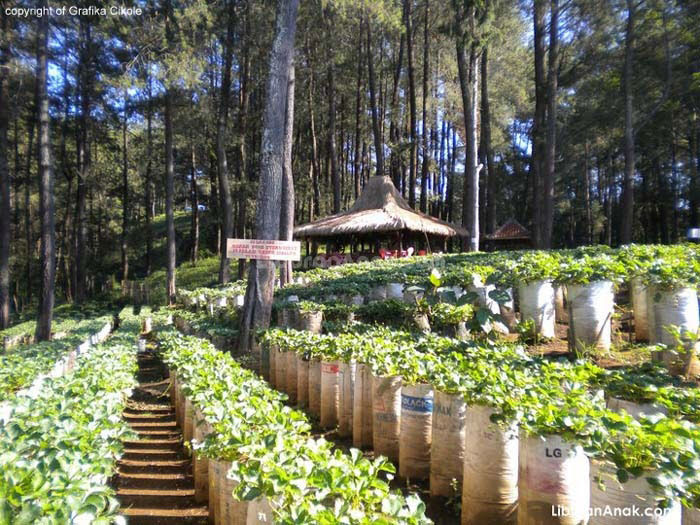 lokasi wisata bandung selatan