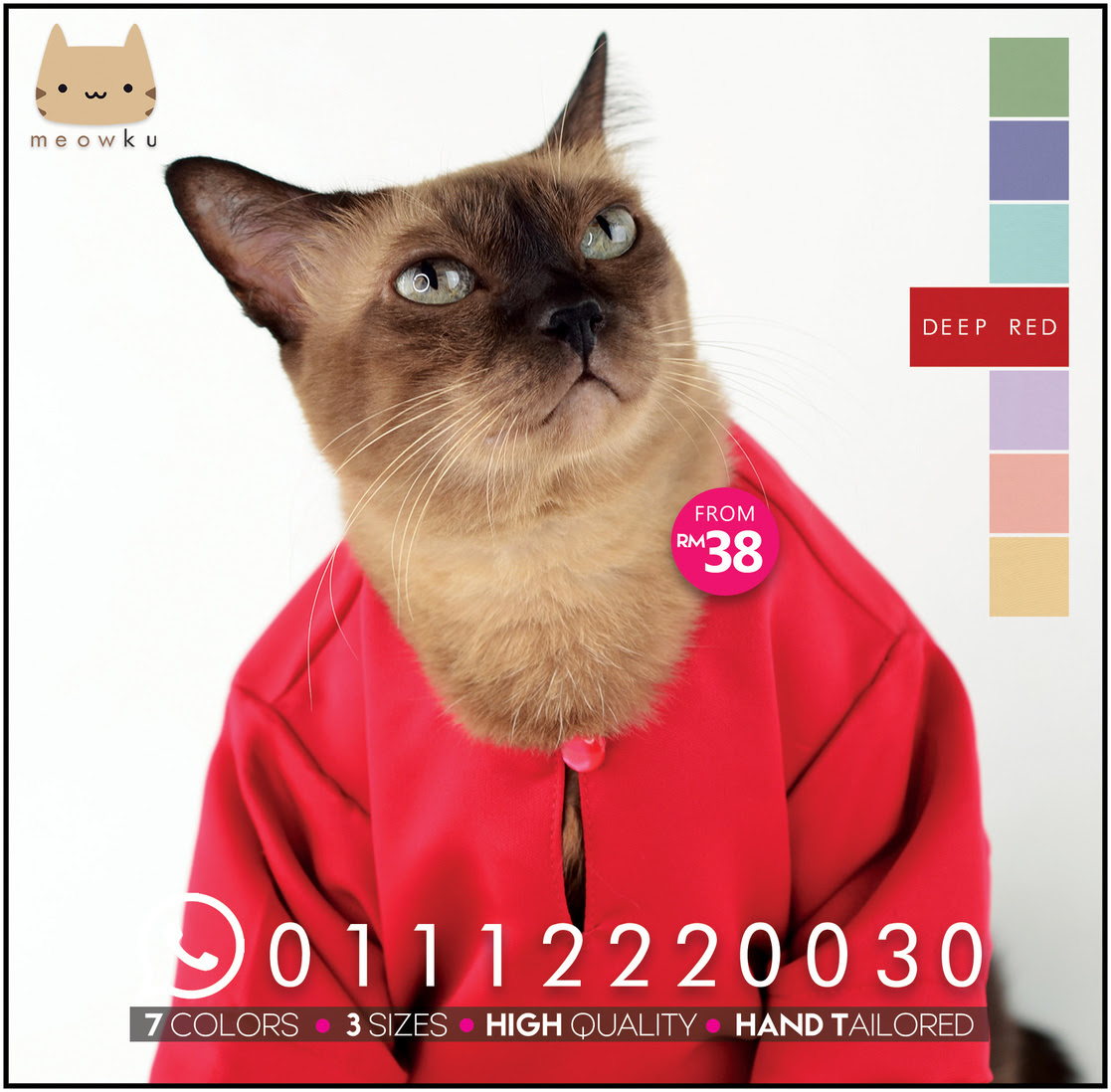  Kucing  Pun Nak Bergaya Di Hari Raya Siap Ada Baju  Dah 