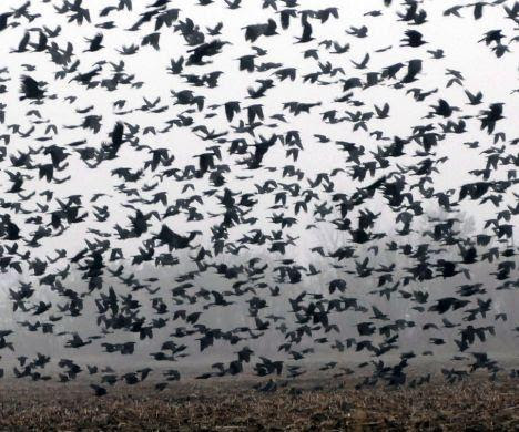 2ch おすすめ人気scpを紹介していく まとめ