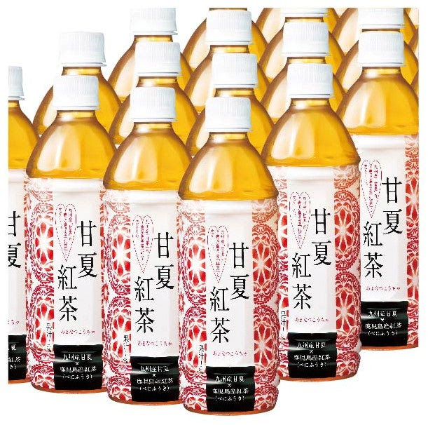 産地直送 通販 お取り寄せ甘夏紅茶 ペットボトル ５００ｍｌ ２４本入 １ケース 初夏 おいどんショップ鹿児島 ｊａタウン
