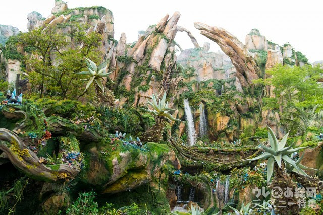 ディズニー画像ランド 50 素晴らしいフロリダ ディズニー アトラクション