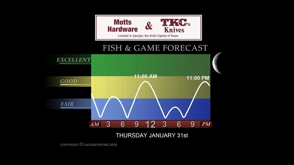 Fish and Game forecast for Thursday, January 31st ...