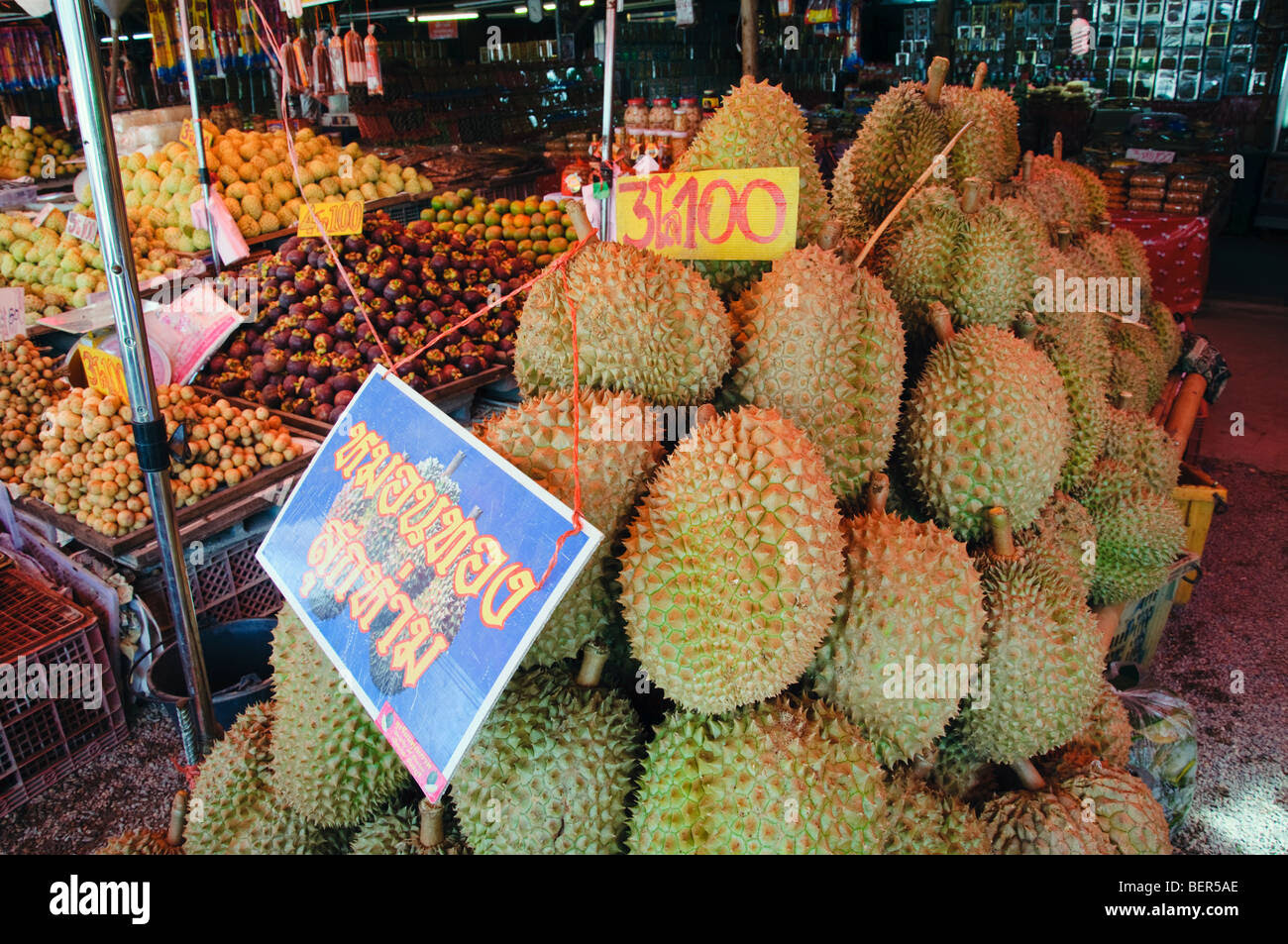 durian – king of the tropical fruit. pungent sweet custard like