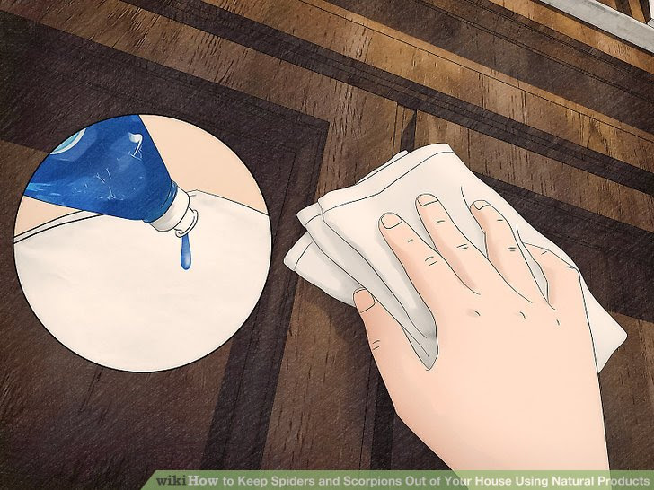 Keep Spiders and Scorpions Out of Your House Using Natural Products Step 4.jpg