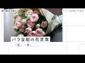[最も共有された！ √] バラ の 花束 英語 162403
