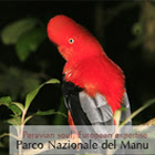Travel to Peruvian Amazon: Manu National Park