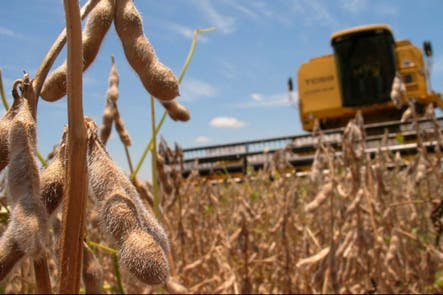 La nueva ley, que espera su tratamiento en Diputados, introduce límites al uso propio