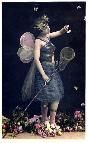 Butterfly Catcher