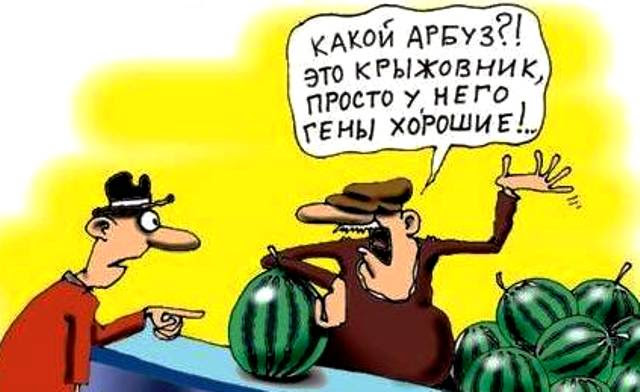 some4me - ГМО такое ГМО.