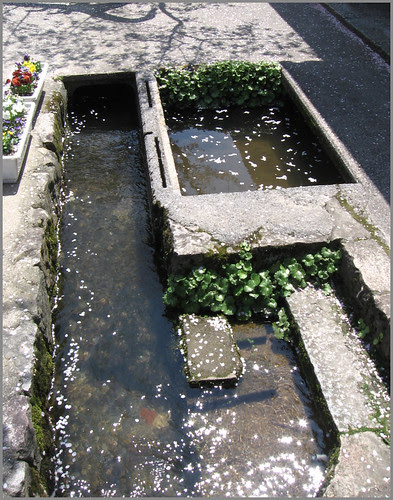 067 running water with petals