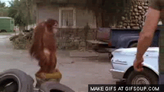 Very Funny Animated Pictures