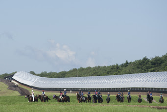 Shadai Thoroughbred Club 社台サラブレッドクラブ