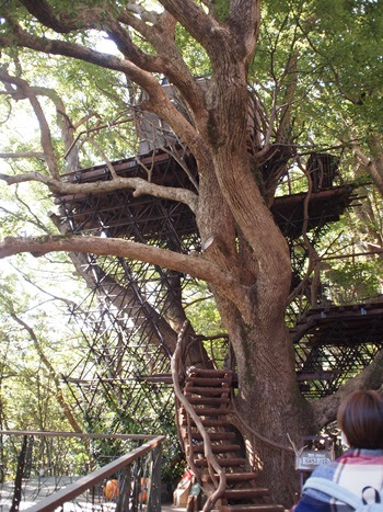 リゾナーレ熱海宿泊レポート ツリーハウス編 埼玉発 子どもとおでかけレポート