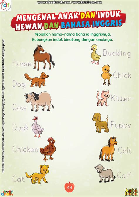 nama binatang  bahasa inggris helenroshowe